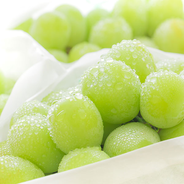 シャインマスカットの画像